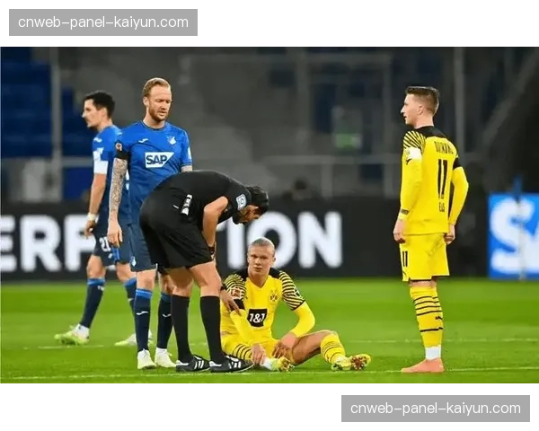 霍芬海姆的逆袭之路：从联赛中游到欧冠资格竞争者